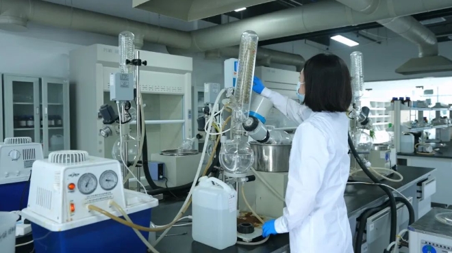 经开区｜蓄“新”势：厚植产业发展土壤