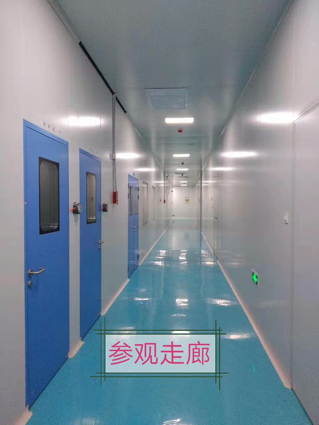 mmexport1565059875178.jpg